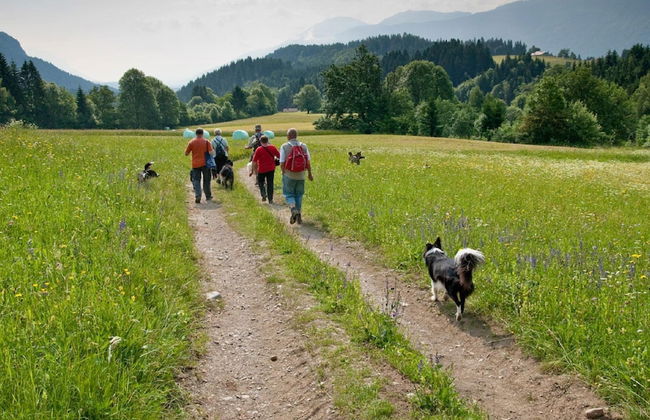 Small Pet-friendly Holiday Park With Nassfeld Card in High Season - Foto 32