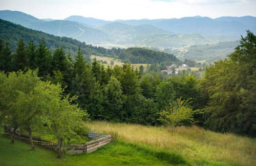 Poli Baneta - Foto 12