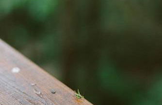 Secluded 4WD Getaway with Mountain Views and Hot Tub - Foto 40