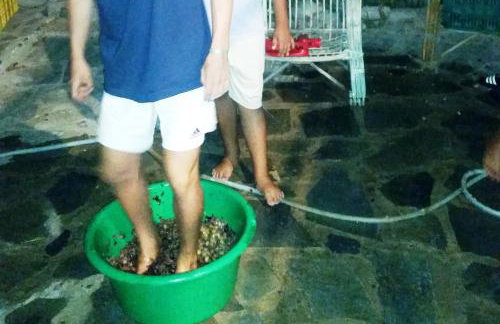 Alexandra Homestay - Foto 61