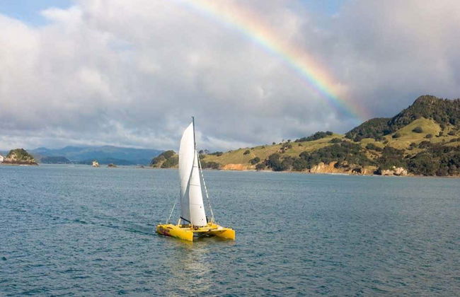Coromandel Coast Boat Tour - Photo 7