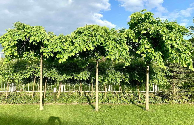 Luxury Villa - JessApart Walendia - Photo 21