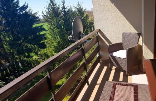 Świerkowe Zacisze Nałęczów - Foto 15