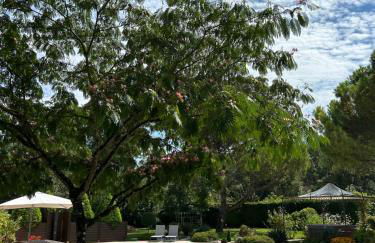 Maison de charme - 4 étoiles - Moulin de la serrée - Foto 17