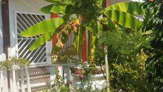 Catullo Bags&Beach - Foto 1, Garden