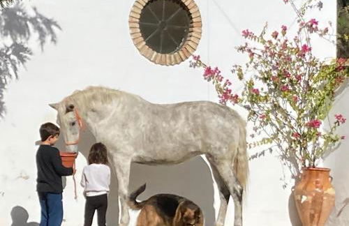 Casa Rural Los Menestrales - Foto 47