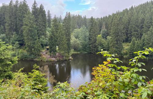 Ferienwohnung Waldblick - Foto 8