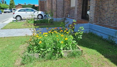 Casa grande con jardín - Foto 2