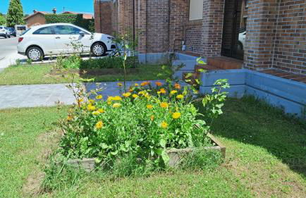 Casa grande con jardín - Foto 2
