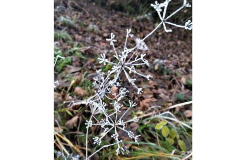 Teutoburg Forest hiking paradise - Foto 28