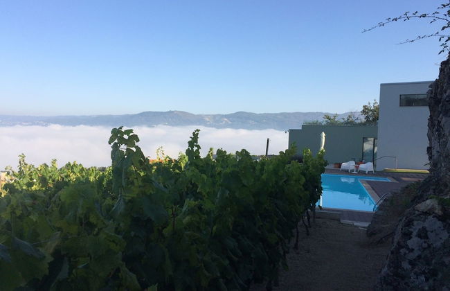 Vald'arêgos Douro Turismo Rural - Foto 41