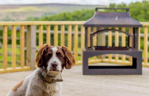 1 Bed in Abergavenny oc-88015 - Foto 17