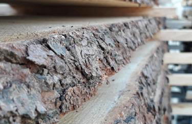 Ferienwohnung An der kleinen Schreinerei - Foto 25