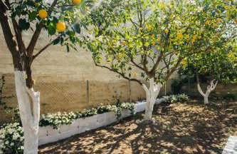 The Citrus Yard in Politika, 2 bedrooms apartment - Foto 11