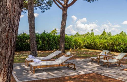 Tenuta Fiumara - Foto 35