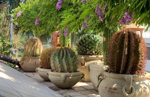 Terrazza Pavone - Foto 25