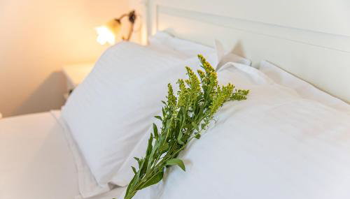 Villa Sotiris - Foto 2