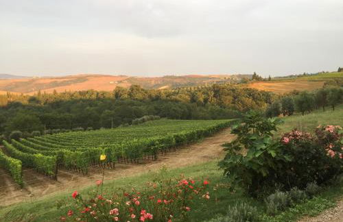 Agriturismo Mocine - Foto 58