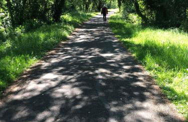 Bramley House-5 Star-located on the Dublin-Belfast corridor - Foto 60