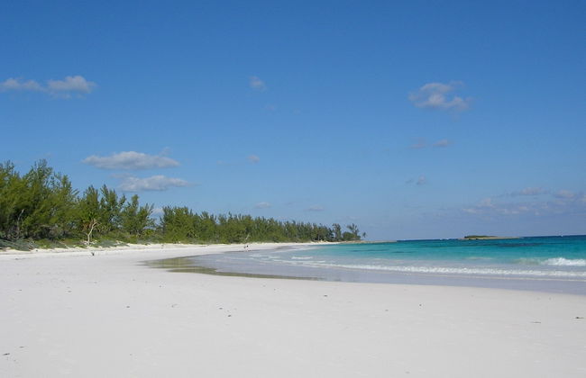 The Little White House 5 Bedroom Home - Foto 25