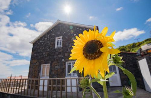 Stone Dreams - Pedra da Atafona - Photo 3