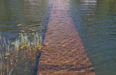 Chacara do Tche - Foto 11