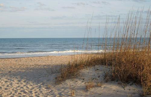 Amelia Island Oceanfront Condo - Foto 48