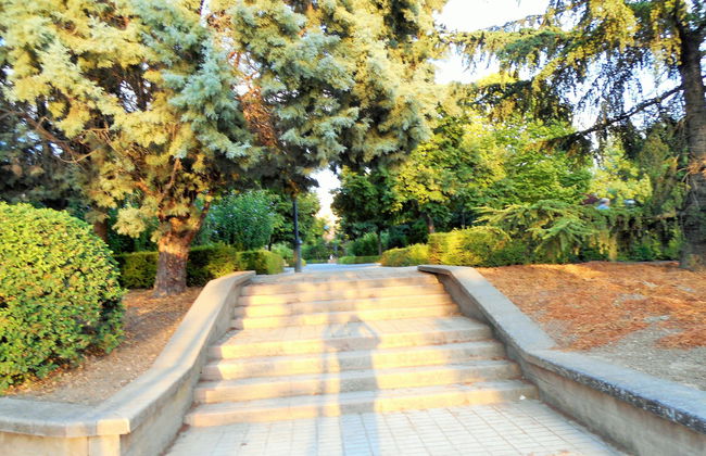 The Martin House - Foto 2