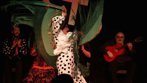 Espectáculo en el tablao flamenco Las Tablas - Foto 2, Disfrutando del flamenco en el tablao Las Tablas