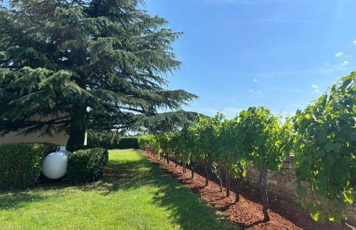 Villa Branko Istria - Foto 34