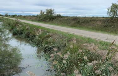 "Le nature" Camargue Jardin - Foto 33