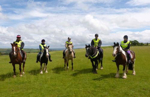 Long Mountain Centre Log Cabins - Foto 29