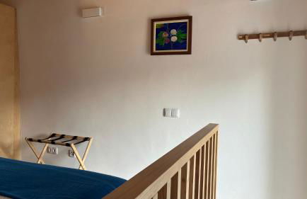 Quinta d'Abegoa - Photo 9