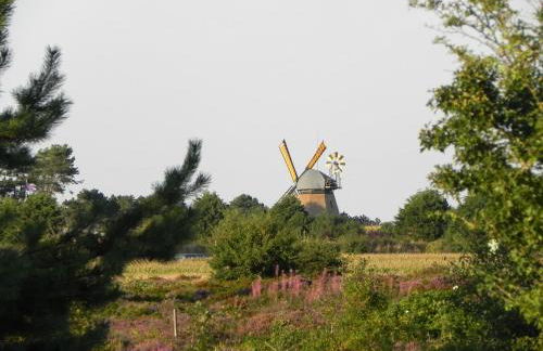 Haus Nordenlicht Ferienwohnung Watt'n Blick - Foto 27