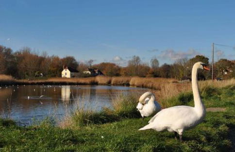 Still Waters, Emsworth - Photo 31