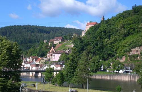 Romantisches Hirschhorn am Neckar - Photo 28