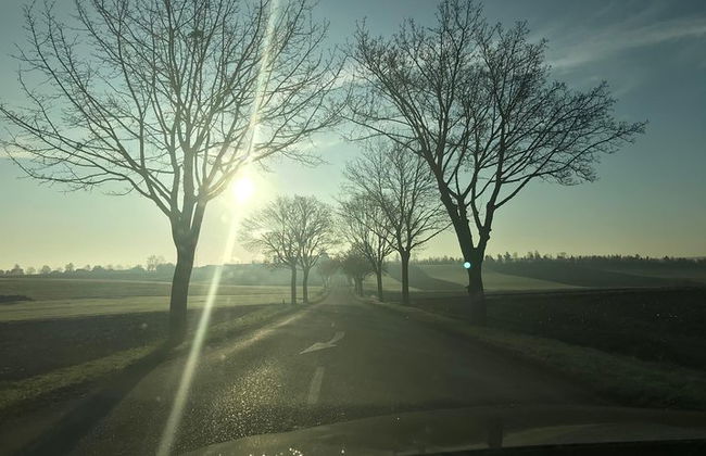 Visite Estrasburgo con un conductor privado - Provisión 4 horas - Foto 7