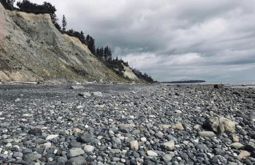 Oyster Lady Homer, AK - Foto 17