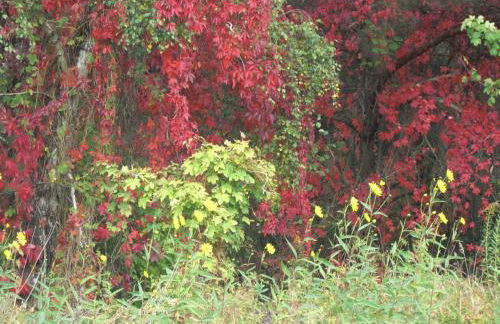 Ferienwohnung Kluge - Foto 27
