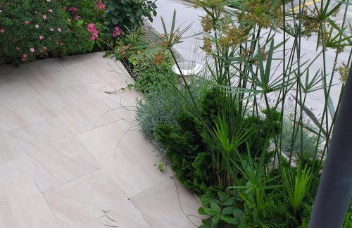 New studio app for 2 - Foto 13