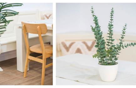 La Pluma y El Pincel - Foto 10