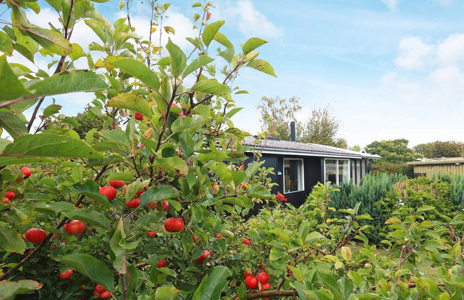 6 Person Holiday Home in Rodvig Stevns - Foto 21