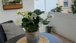 Waldstadt-Apartments - Foto 4