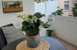 Waldstadt-Apartments - Foto 4