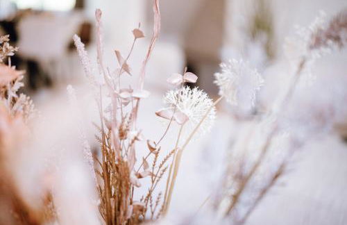 VISAMA, moderne Apartments an der Fulda-Aue - Photo 25