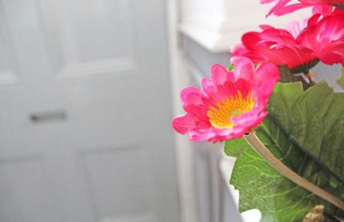 Panton Road - Modern Classic Terrace - Photo 10