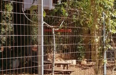 Villa Franchino - Foto 2