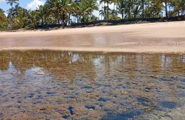 VILA BOMBACA - 100m da praia - Foto 59