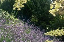 Seeblick und offener Kamin - Casa di Florian - Photo 63