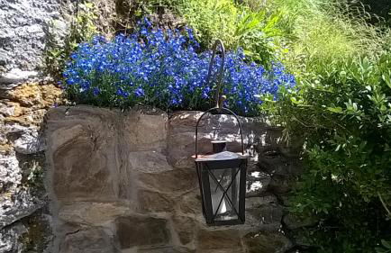 Casa Emilia - Foto 29